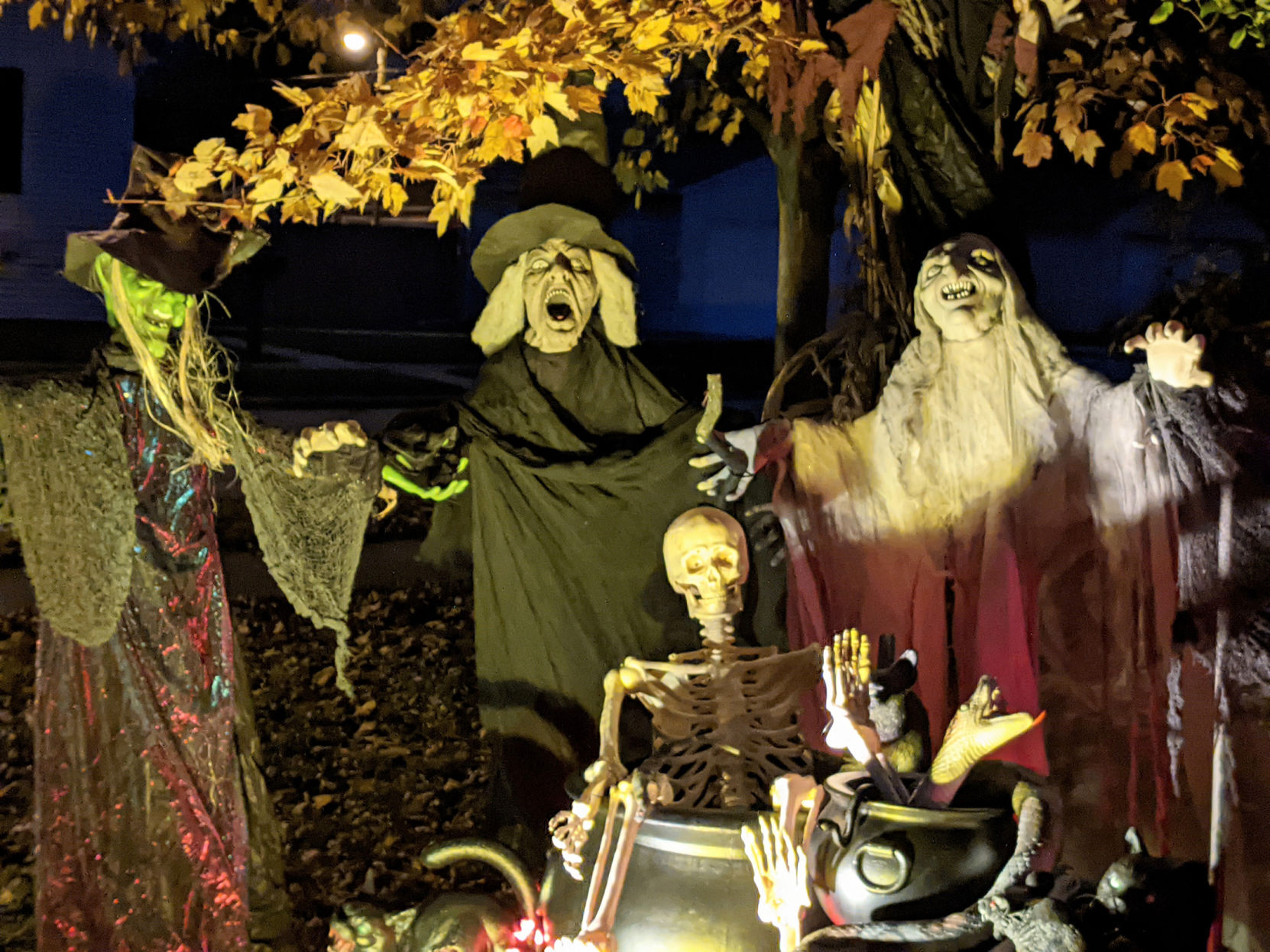 Halloween house cauldron 7405 31st Avenue.jpg